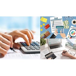 Căn cứ xác định doanh thu tính lệ phí môn bài của hộ kinh doanh hoa quả?