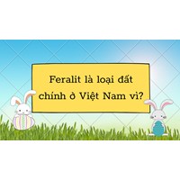 Feralit là loại đất chính ở Việt Nam vì? - Địa lý lớp 12