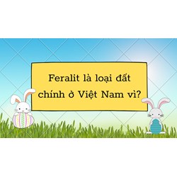 Feralit là loại đất chính ở Việt Nam vì? - Địa lý lớp 12