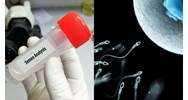 Nam từ đủ bao nhiêu tuổi trở lên có quyền hiến tinh trùng?