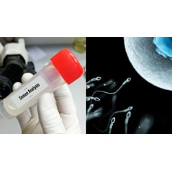 Nam từ đủ bao nhiêu tuổi trở lên có quyền hiến tinh trùng?