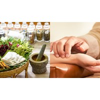 Y học cổ truyền trình độ cao đẳng là ngành nghề như thế nào?