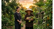 Phân tích bài thơ Mẹ và quả của Nguyễn Khoa Điềm siêu hay