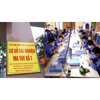 Thẩm quyền quyết định thành lập cơ sở cai nghiện ma túy công lập?