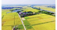 Hạn mức giao đất trồng cây hằng năm cho cá nhân từ ngày 01/01/2025?