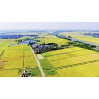Hạn mức giao đất trồng cây hằng năm cho cá nhân từ ngày 01/01/2025?