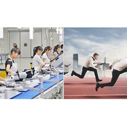 Tỷ số giới tính có ảnh hưởng đến cạnh tranh việc làm không?