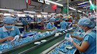 Ban quản lý khu công nghiệp được cấp phép lao động cho người nước ngoài?