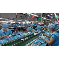 Ban quản lý khu công nghiệp được cấp phép lao động cho người nước ngoài?
