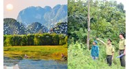 Nguyên tắc bảo tồn và phát triển bền vững đa dạng sinh học?