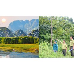Nguyên tắc bảo tồn và phát triển bền vững đa dạng sinh học?