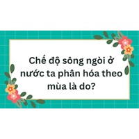 Chế độ sông ngòi ở nước ta phân hóa theo mùa là do?