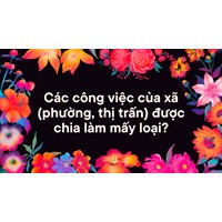 Các công việc của xã (phường, thị trấn) được chia làm mấy loại?