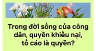 Trong đời sống của công dân, quyền khiếu nại, tố cáo là quyền?