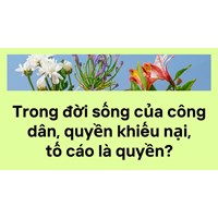 Trong đời sống của công dân, quyền khiếu nại, tố cáo là quyền?