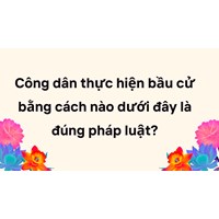 Công dân thực hiện bầu cử bằng cách nào dưới đây là đúng pháp luật?