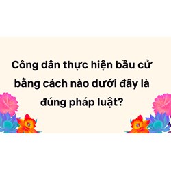 Công dân thực hiện bầu cử bằng cách nào dưới đây là đúng pháp luật?