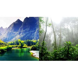 Khí hậu nhiệt đới ẩm gió mùa có mùa đông lạnh là đặc trưng của?