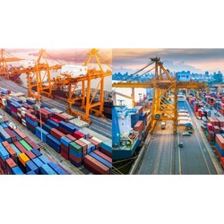 Kim ngạch xuất, nhập khẩu của nước ta liên tục tăng chủ yếu do?
