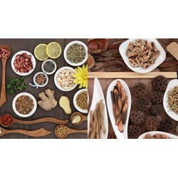 Trình tự công bố đáp ứng tiêu chuẩn về chế biến vị thuốc cổ truyền