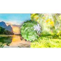 Dàn ý Chứng minh thiên nhiên là người bạn tốt của con người siêu hay