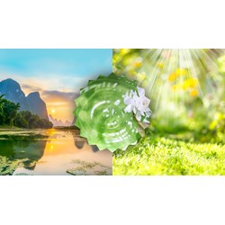 Dàn ý Chứng minh thiên nhiên là người bạn tốt của con người siêu hay