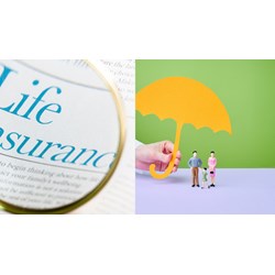 Tổ chức có là bên mua bảo hiểm của hợp đồng bảo hiểm nhân thọ không?