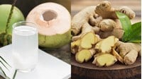 Uống nước dừa với gừng có tác dụng gì cho sức khoẻ?