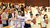Cơ quan nào quyết định việc trưng cầu dân ý về Hiến pháp ?