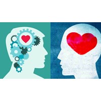 Những đặc điểm của người có trí tuệ cảm xúc cao