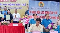 Nội quy lao động hay thỏa ước lao động tập thể có giá trị pháp lý cao hơn?