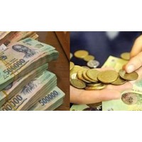 Tổ giúp việc Hội đồng giám sát tiêu hủy tiền được tổ chức ở bao nhiêu Cụm?