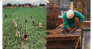 Trình tự xin cấp Giấy phép cho thuê lại lao động 2024