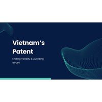 Vietnam Patent: Ending Validity & Avoiding Issues