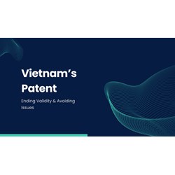 Vietnam Patent: Ending Validity & Avoiding Issues