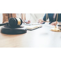 Thành viên trong liên danh dự thầu có thể bảo đảm dự thầu riêng?