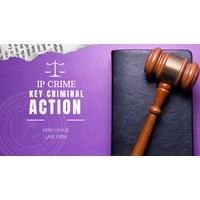 Fight IP Right Crimes in Vietnam: Key Criminal Actions