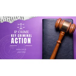 Fight IP Right Crimes in Vietnam: Key Criminal Actions