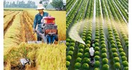 Nông dân có được quyền nhận chuyển giao công nghệ trong nông nghiệp?