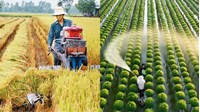 Nông dân có được quyền nhận chuyển giao công nghệ trong nông nghiệp?