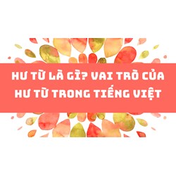 Hư từ là gì? Vai trò của hư từ trong tiếng Việt