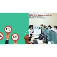 Ai đăng kết quả lựa chọn nhà thầu lên hệ thống mạng đấu thầu quốc gia?