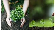 Dàn ý thuật lại một sự việc thể hiện truyền thống Uống nước nhớ nguồn