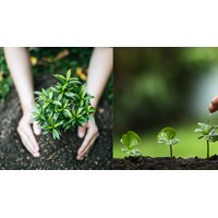 Dàn ý thuật lại một sự việc thể hiện truyền thống Uống nước nhớ nguồn