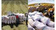 Trách nhiệm của Bộ Tài chính trong kinh doanh xuất khẩu gạo ra sao?