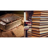 Mẫu tờ khai chuyển quyền sử dụng đối tượng sở hữu công nghiệp
