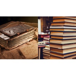 Mẫu tờ khai chuyển quyền sử dụng đối tượng sở hữu công nghiệp
