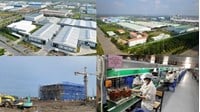 Doanh nghiệp chế xuất có được đầu tư vào cụm công nghiệp không?