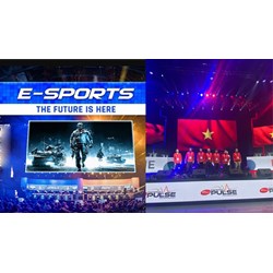 Người bán độ trong esport có thể bị truy cứu trách nhiệm hình sự?