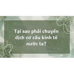 Tại sao phải chuyển dịch cơ cấu kinh tế nước ta? - Địa lý lớp 12